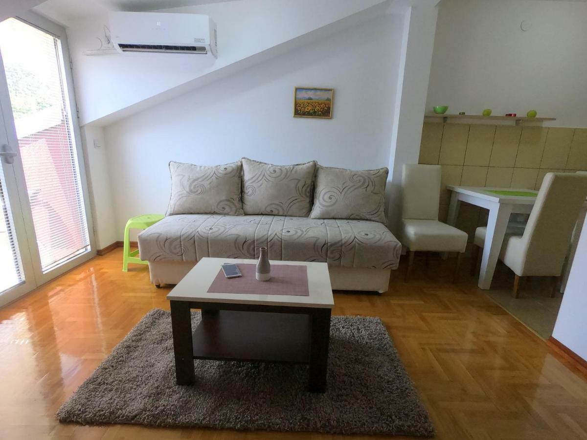 Apartman Zenit Vrnjačka Banja エクステリア 写真