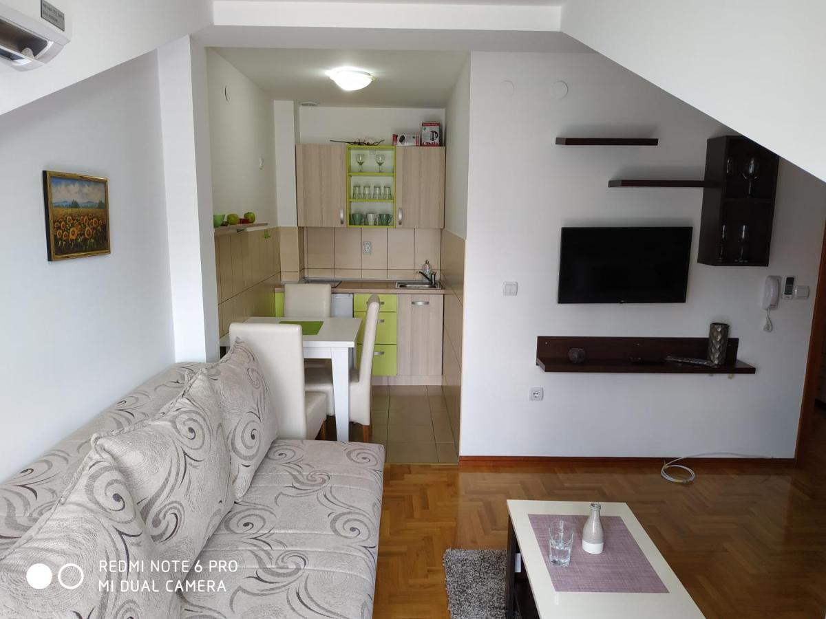 Apartman Zenit Vrnjačka Banja エクステリア 写真